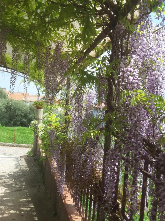 Mansarda Fiorita Bed & Breakfast Abatemarco Екстериор снимка