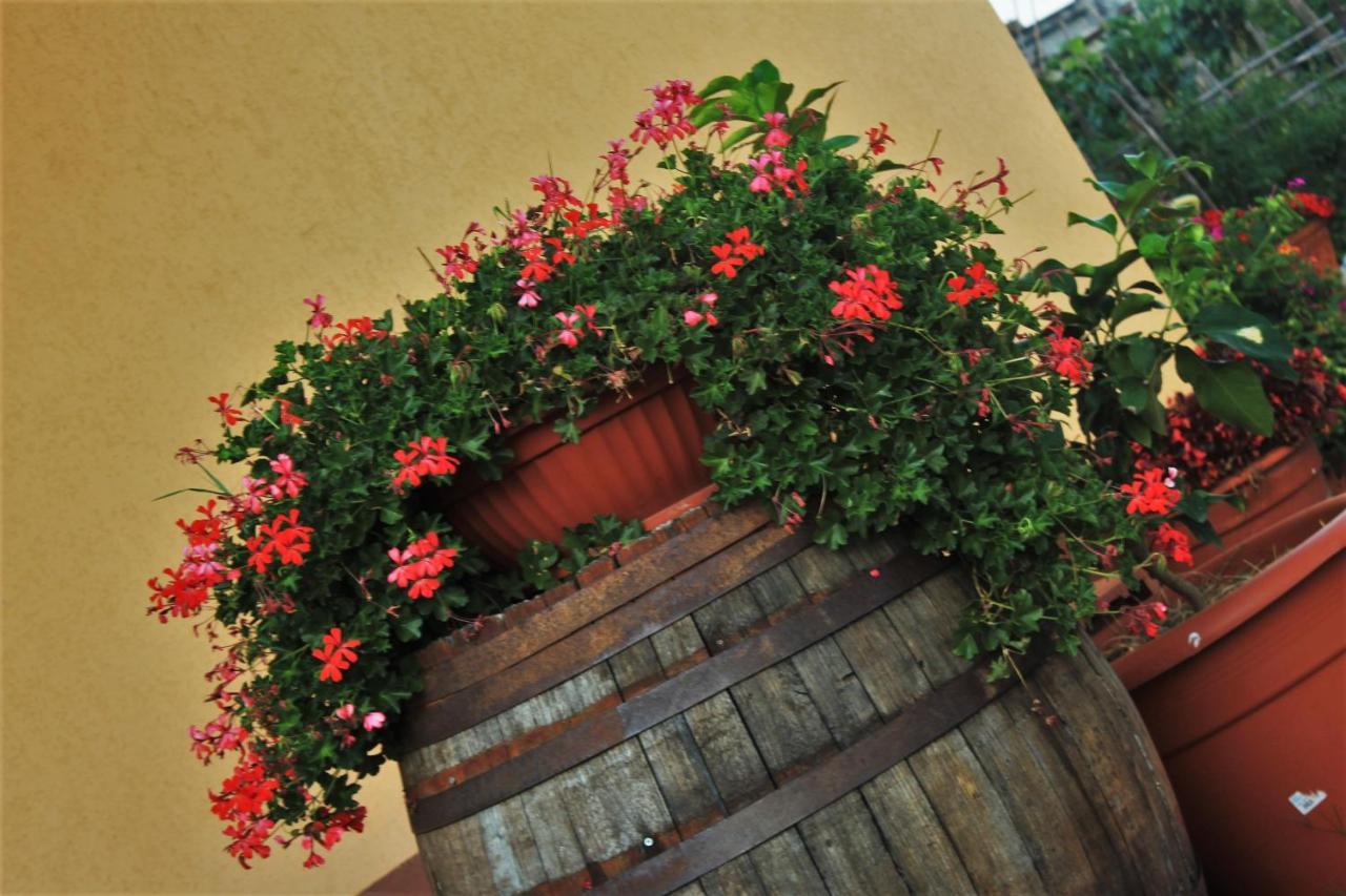 Mansarda Fiorita Bed & Breakfast Abatemarco Екстериор снимка